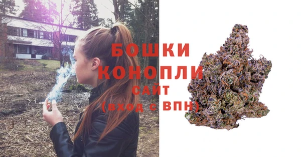 ГАЛЛЮЦИНОГЕННЫЕ ГРИБЫ Зерноград