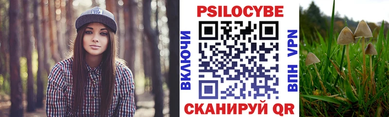 Галлюциногенные грибы Psilocybe  Купить где  Киренск 
